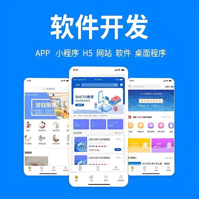 软件定制开发如何助力企业高效成长?